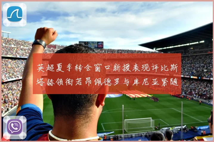 英超夏季转会窗口新援表现评比斯塔赫领衔若昂佩德罗与库尼亚紧随其后