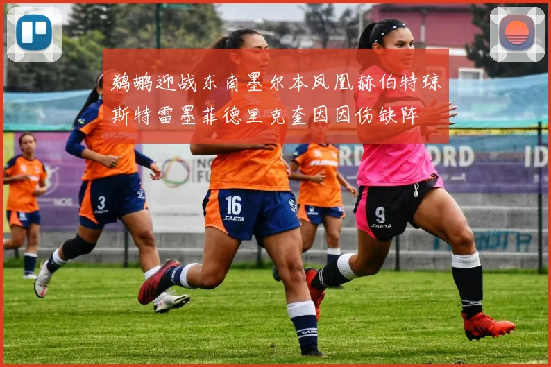 鹈鹕迎战东南墨尔本凤凰赫伯特琼斯特雷墨菲德里克奎因因伤缺阵