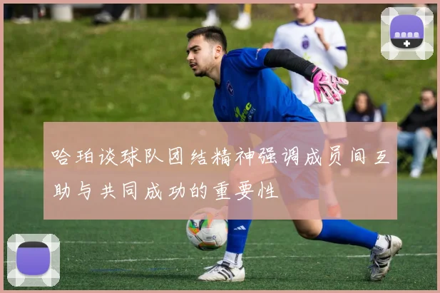 哈珀谈球队团结精神强调成员间互助与共同成功的重要性