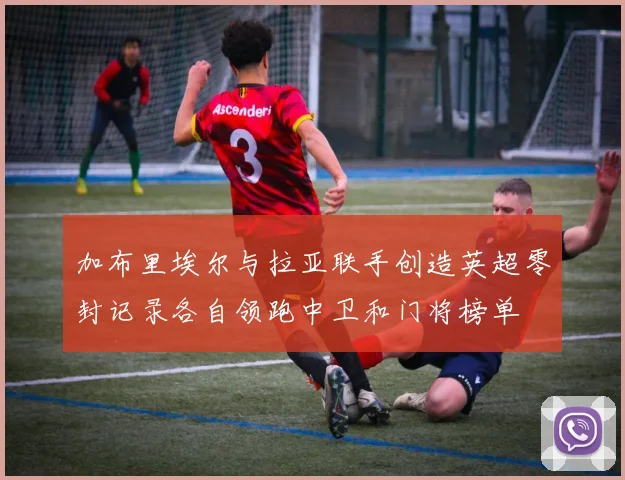 加布里埃尔与拉亚联手创造英超零封记录各自领跑中卫和门将榜单